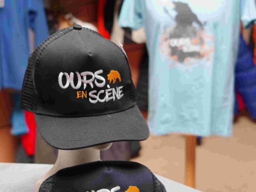 Ours en scène