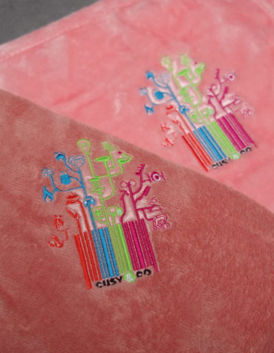 Broderie annemasse