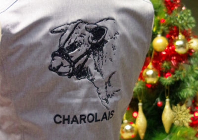 Charolais