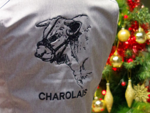 Charolais
