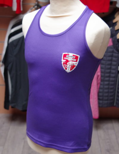 Savate chautagne boxe française